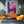 Night Japanese Cherry Blossom Wall Art