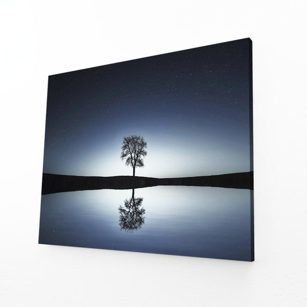 Night Reflection Tree Art | MusaArtGallery™