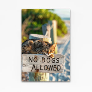 No Dogs Cat Art | MusaArtGallery™