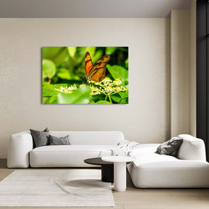 Nursery Butterfly Wall Art | MusaArtGallery™
