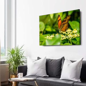 Nursery Butterfly Wall Art | MusaArtGallery™