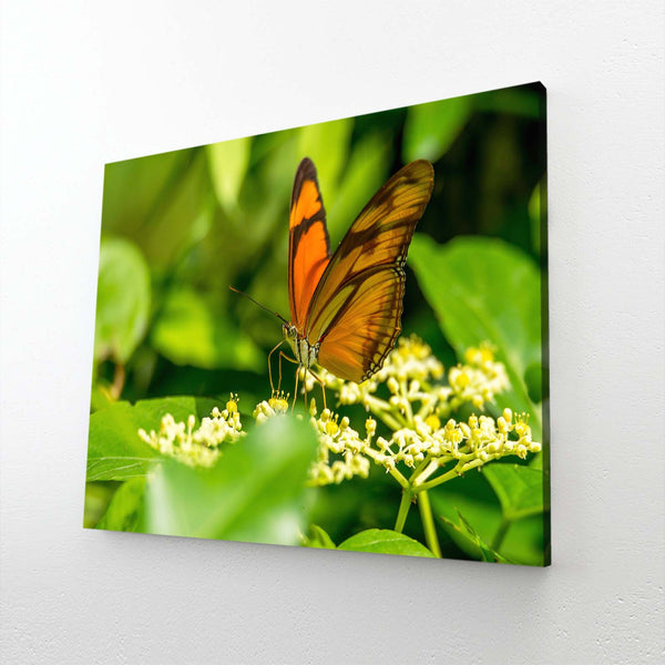 Nursery Butterfly Wall Art | MusaArtGallery™