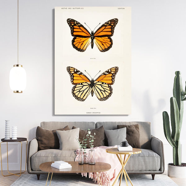 Orange Yellow Butterfly Wall Art | MusaArtGallery™