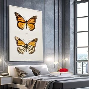 Orange Yellow Butterfly Wall Art | MusaArtGallery™
