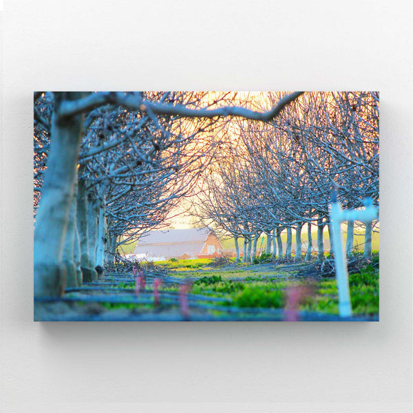 Orchard Path Tree Art | MusaArtGallery™