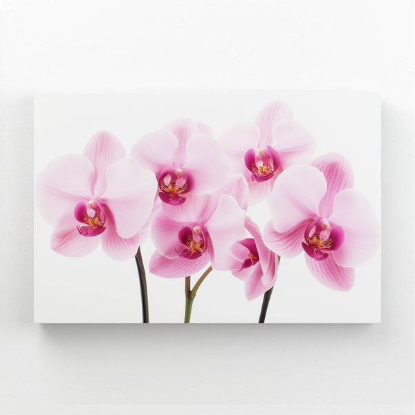 Orchid Elegance Flower Art | MusaArtGallery™