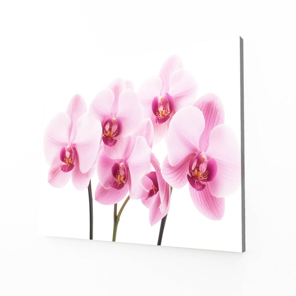 Orchid Elegance Flower Art | MusaArtGallery™