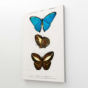 Origami Canvas Butterfly Wall Art | MusaArtGallery™