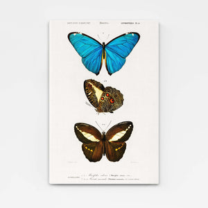 Origami Canvas Butterfly Wall Art | MusaArtGallery™