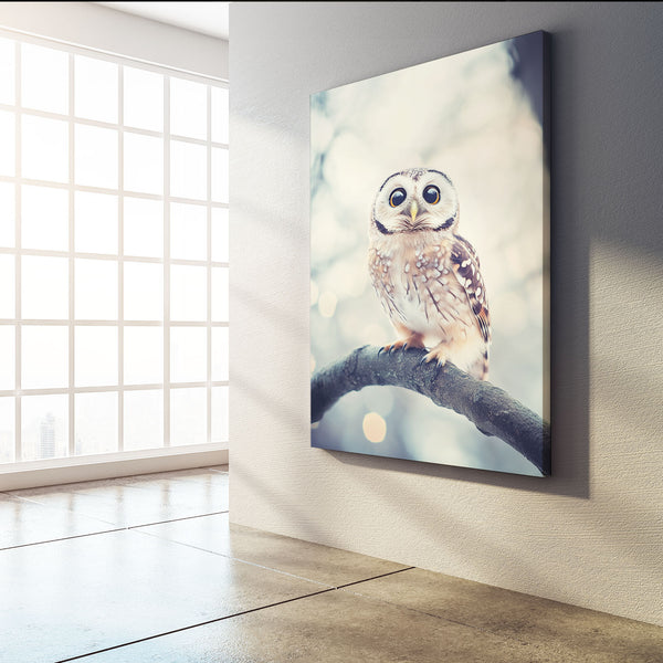 Owl Cute Art