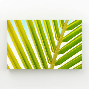 Palm Leaf Tree Art | MusaArtGallery™