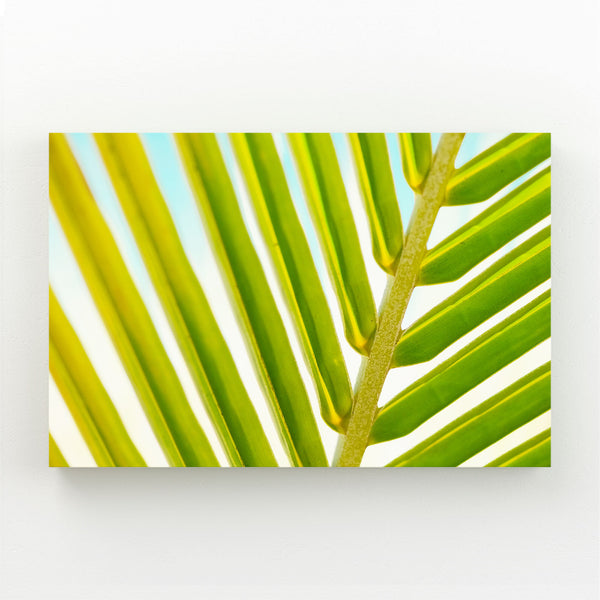 Palm Leaf Tree Art | MusaArtGallery™