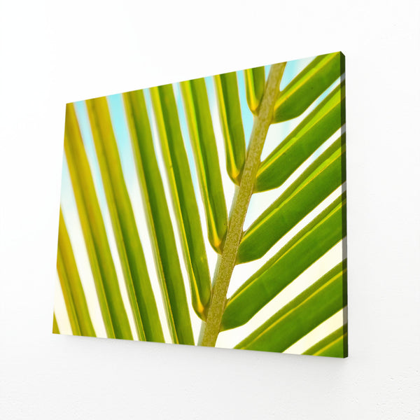 Palm Leaf Tree Art | MusaArtGallery™