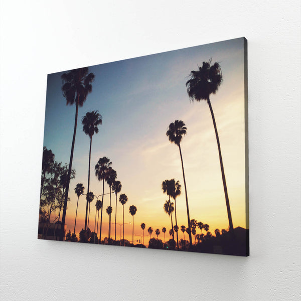 Palm Sunset Tree Art | MusaArtGallery™