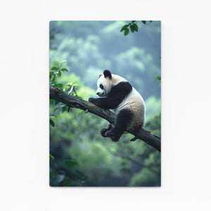 Panda Climb Cool Wall Art | MusaArtGallery™