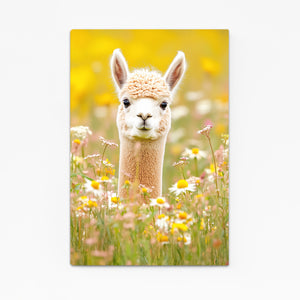 Peruvian Cute Art