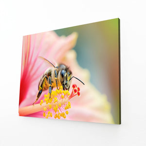 Petal Dance Bee Art | MusaArtGallery™