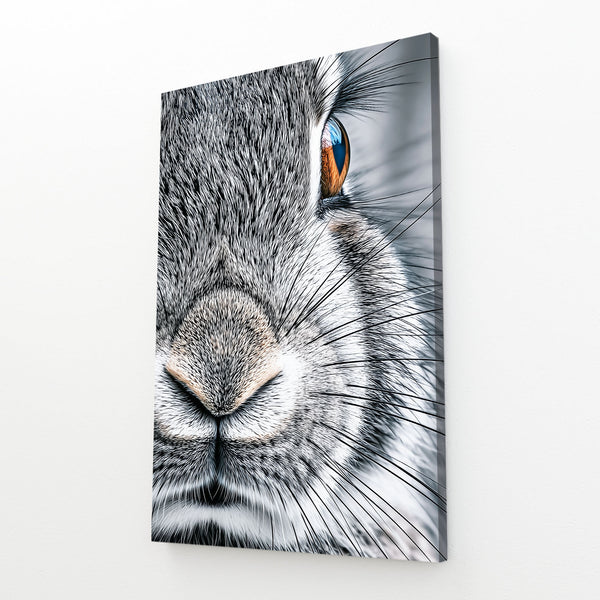 Photography Bunny Rabbit Wall Art
