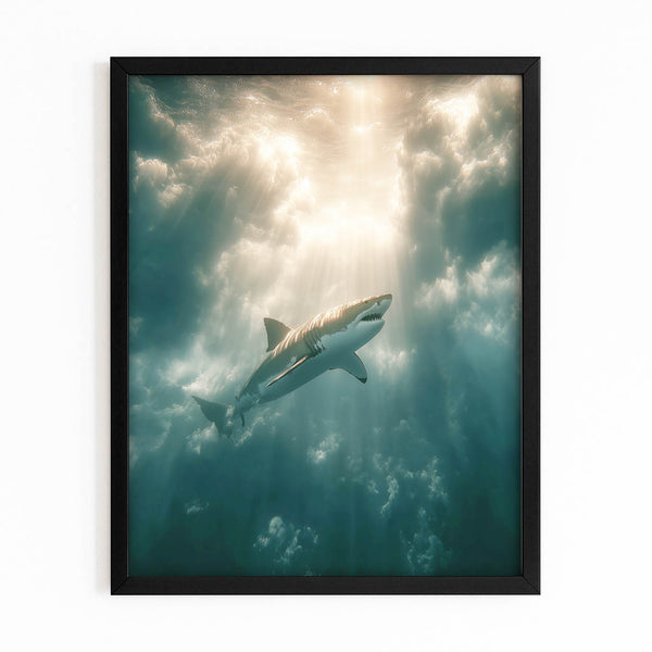 Photography Shark Canvas