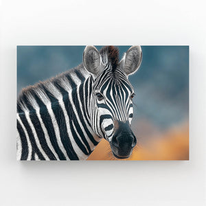 Photography Zebra Art