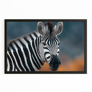 Photography Zebra Art