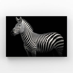 Photography Zebra Artwork