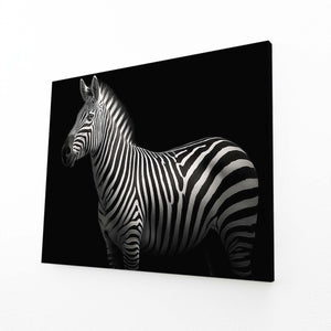 Photography Zebra Artwork