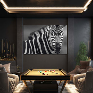 Photography Zebra Canvas