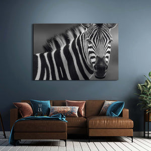 Photography Zebra Canvas