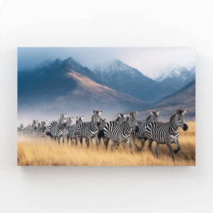 Photography Zebra Wall Art