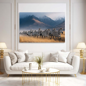 Photography Zebra Wall Art