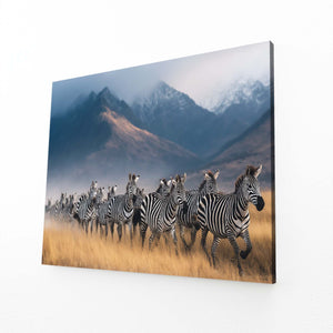 Photography Zebra Wall Art