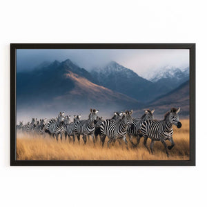 Photography Zebra Wall Art