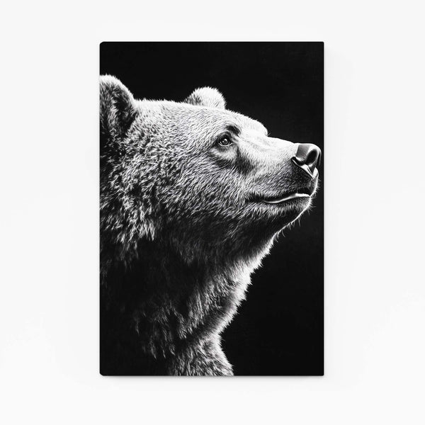 Photography Bear Wall Art