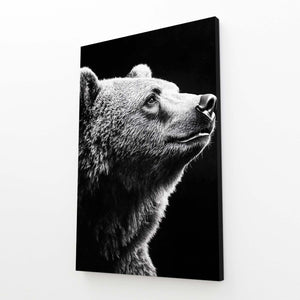 Photography Bear Wall Art