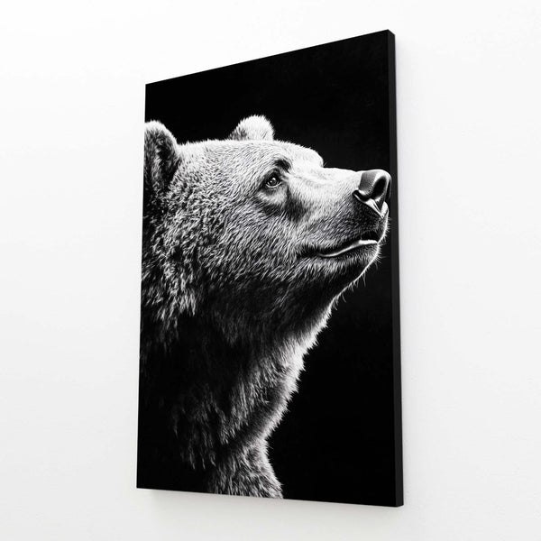 Photography Bear Wall Art