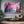 Pink Cherry Blossom Forest Wall Art