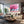 Pink Cherry Blossom Landscape Wall Art
