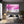 Pink Cherry Blossom Trees Landscape Art