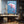 Pink Dolphin Wall Art
