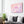 Pink Horizontal Dolphin Art