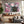 Pink Japanese Cherry Blossom Pagoda Wall Art