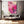 Pink Mandala Cherry Blossom Flower Art