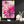 Pink Mandala Cherry Blossom Flower Art