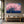 Pink Sakura Cherry Blossom Tree Wall Art