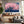 Pink Sakura Cherry Blossom Tree Wall Art