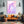 Pink Vertical Dolphin Art