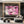 Pink Woman Cherry Blossom Wall Art
