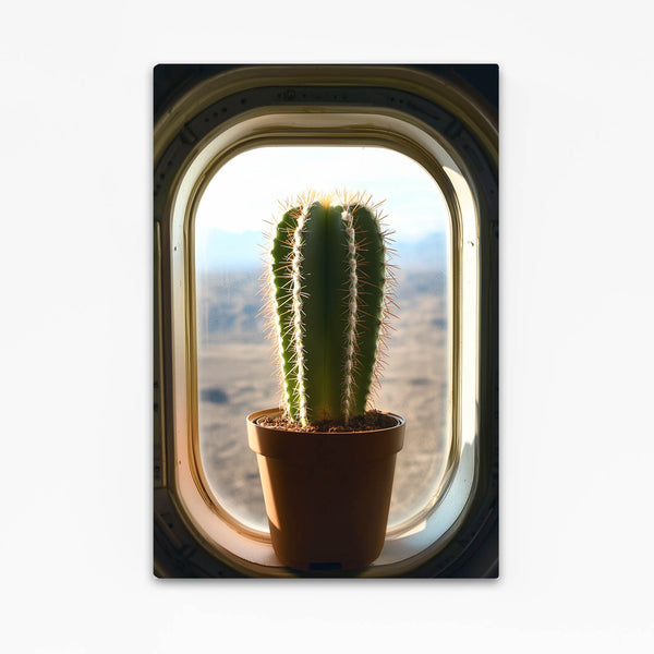 Plane Cactus Art