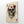 Play Card Skull Wall Art | MusaArtGallery™